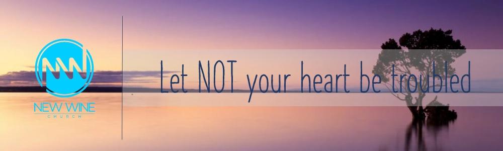 Praise Report: Let NOT your heart be&nbsp;troubled
